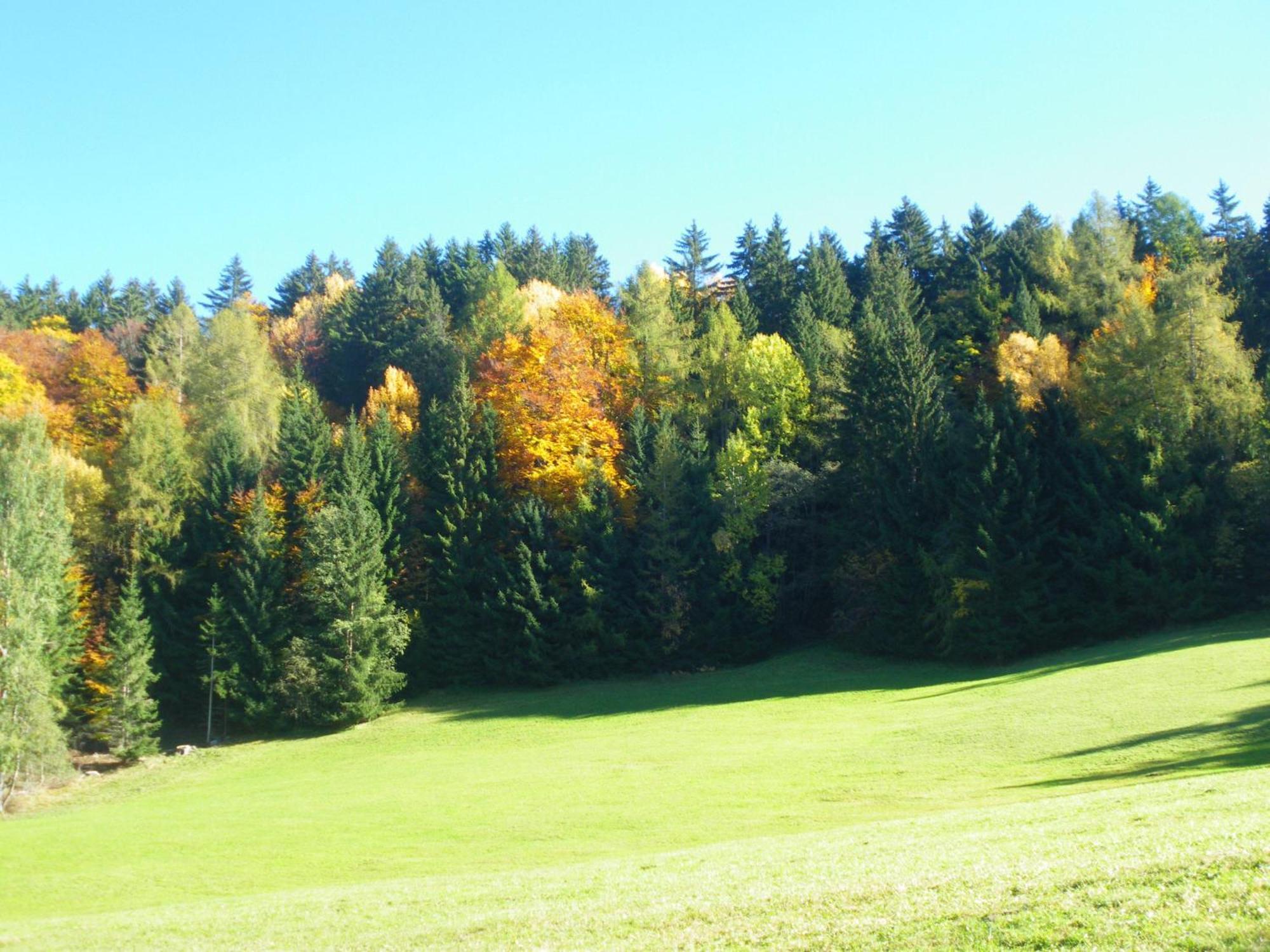 Appartments Neuhof กอลลาลโบ ภายนอก รูปภาพ
