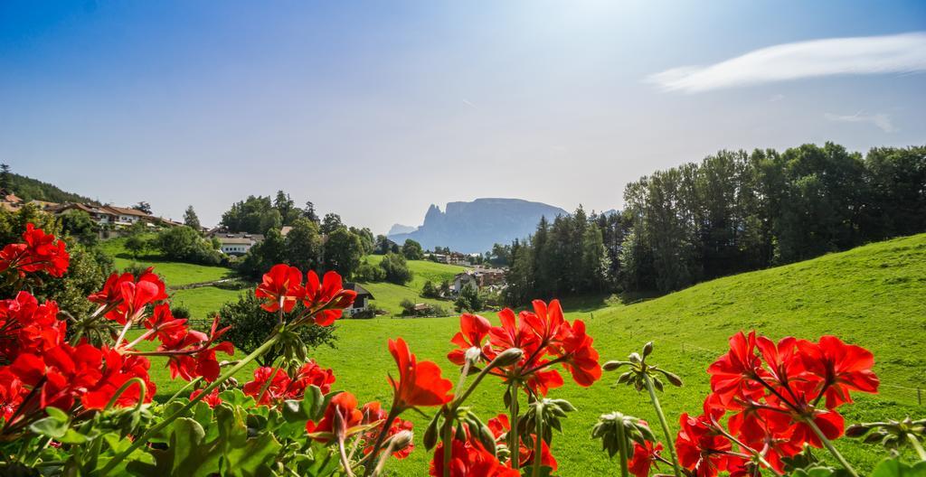 Appartments Neuhof กอลลาลโบ ภายนอก รูปภาพ