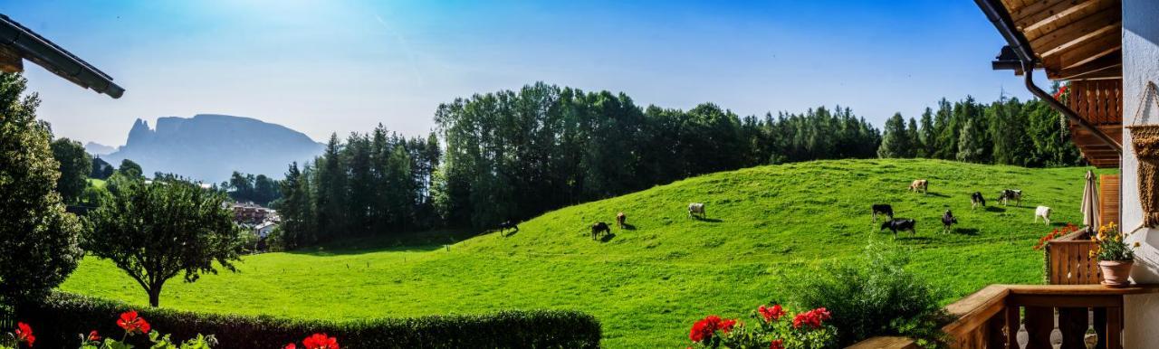 Appartments Neuhof กอลลาลโบ ภายนอก รูปภาพ